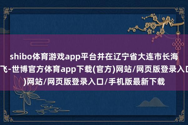 shibo体育游戏app平台并在辽宁省大连市长海县空域顺利完成试飞-世博官方体育app下载(官方)网站/网页版登录入口/手机版最新下载