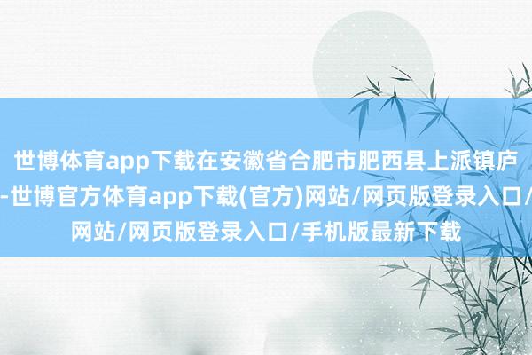 世博体育app下载在安徽省合肥市肥西县上派镇庐香腊味加工场区-世博官方体育app下载(官方)网站/网页版登录入口/手机版最新下载
