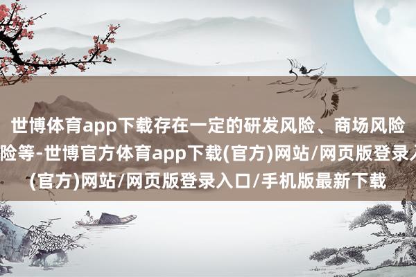 世博体育app下载存在一定的研发风险、商场风险、指标风险、解决风险等-世博官方体育app下载(官方)网站/网页版登录入口/手机版最新下载